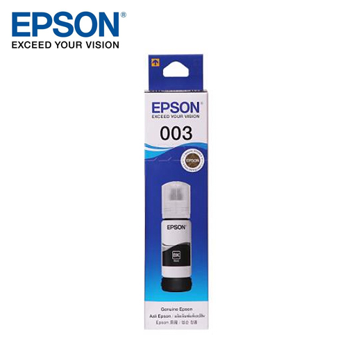 EPSON T00V100 黑色墨水