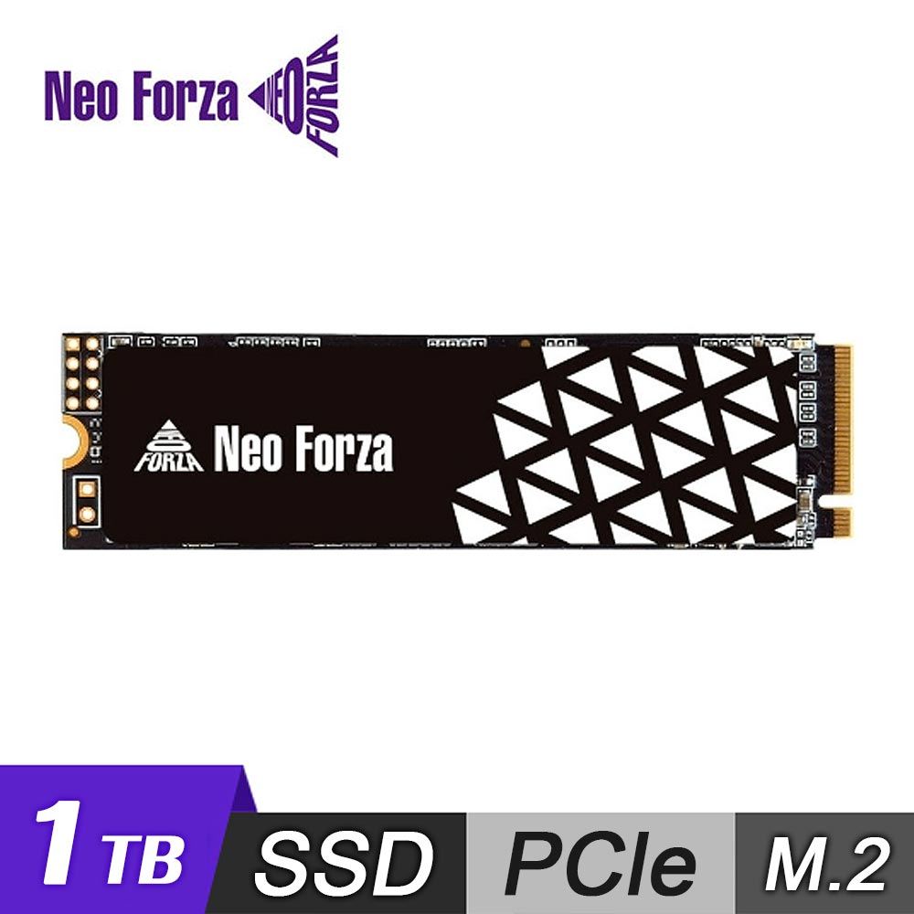 【Neo Forza 凌航】NFP045 1TB M.2 2280 SSD固態硬碟 [石墨烯散熱片]