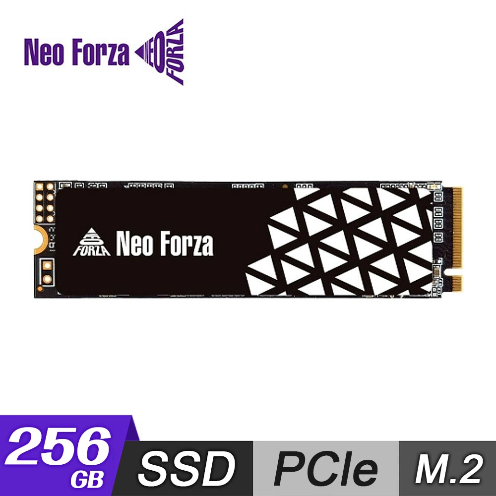【Neo Forza 凌航】NFP045 256GB M.2 2280 SSD固態硬碟