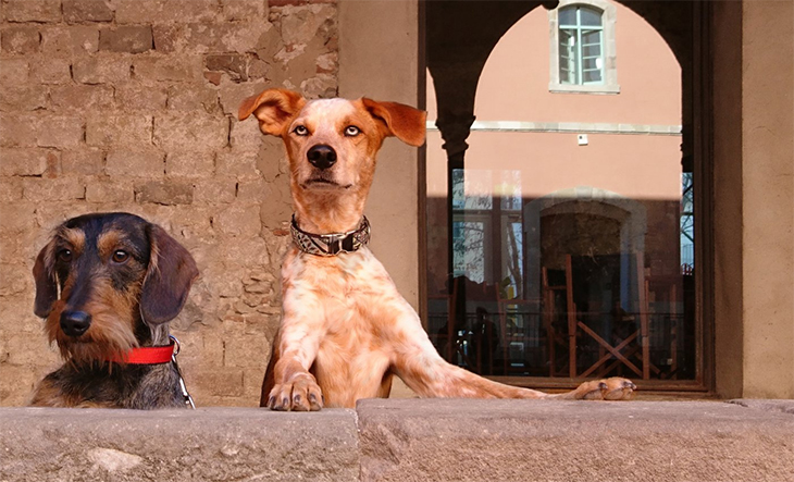 Sony 索尼 Xperia X (F5121) 黑-三井3C购物网