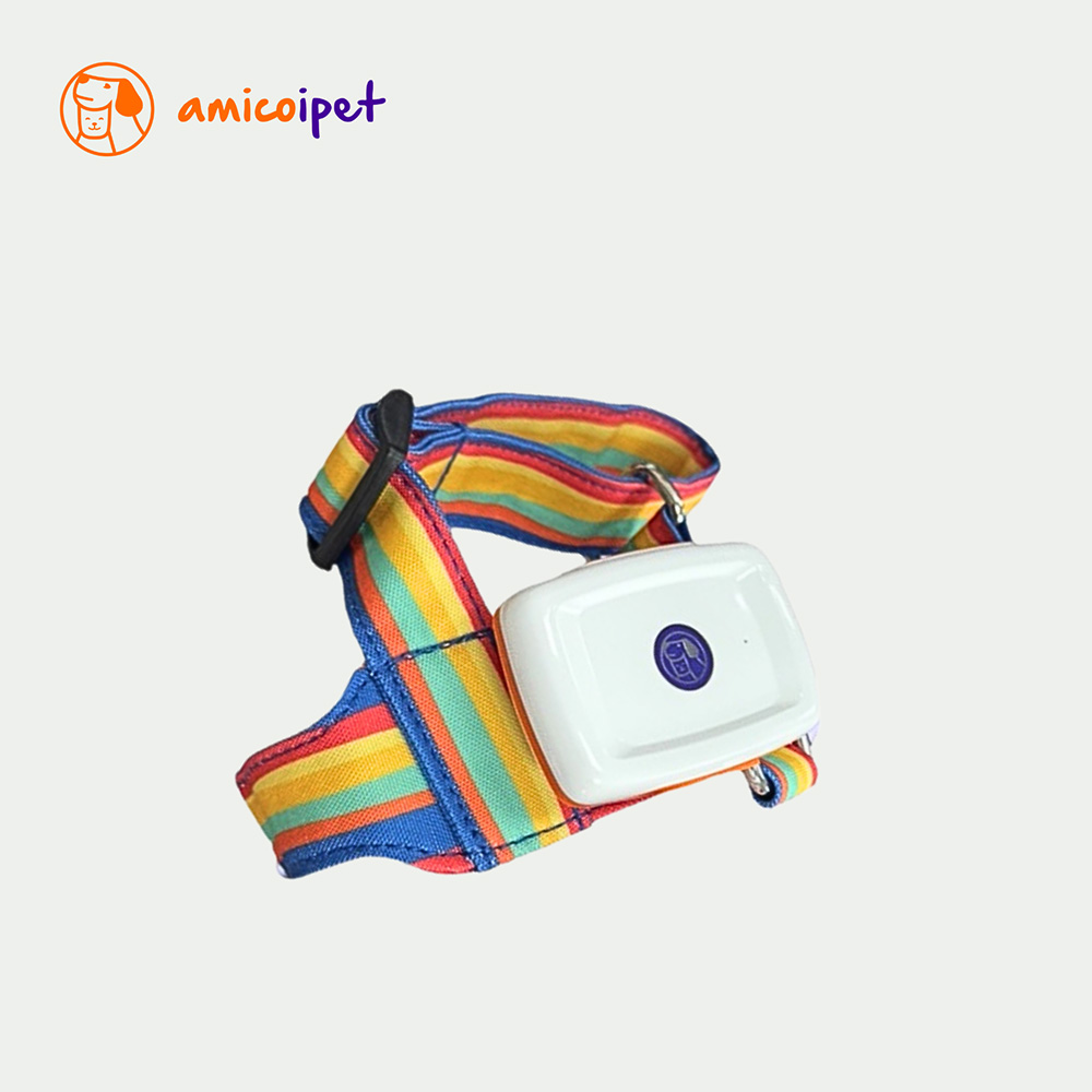 【amicoipet】寵物居家生理監測胸背項圈組-XXS彩虹