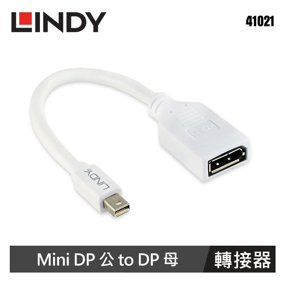 【LINDY 林帝】Mini DP公 to DP母轉接器