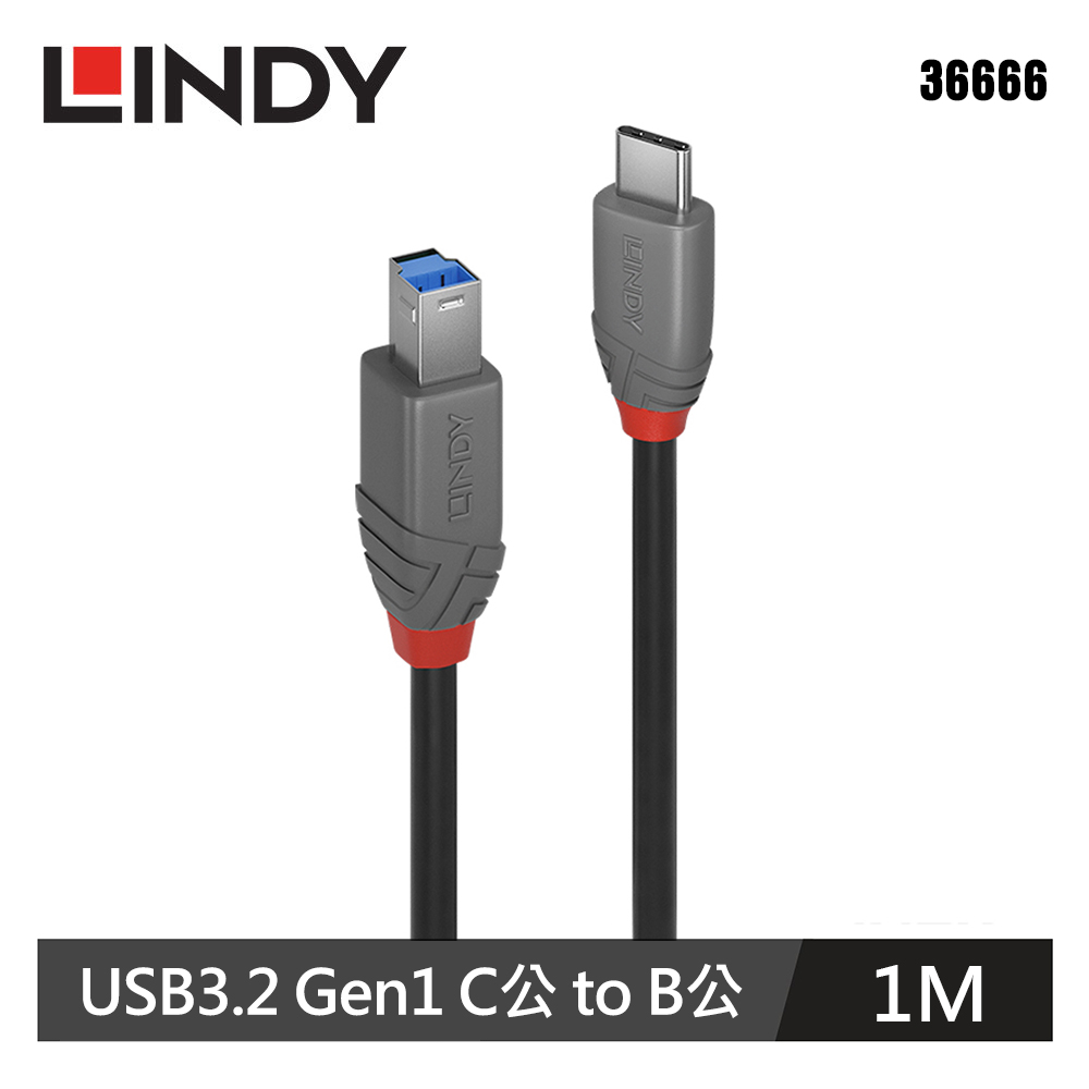 【LINDY 林帝】Type C to B USB3.2 傳輸線 1M