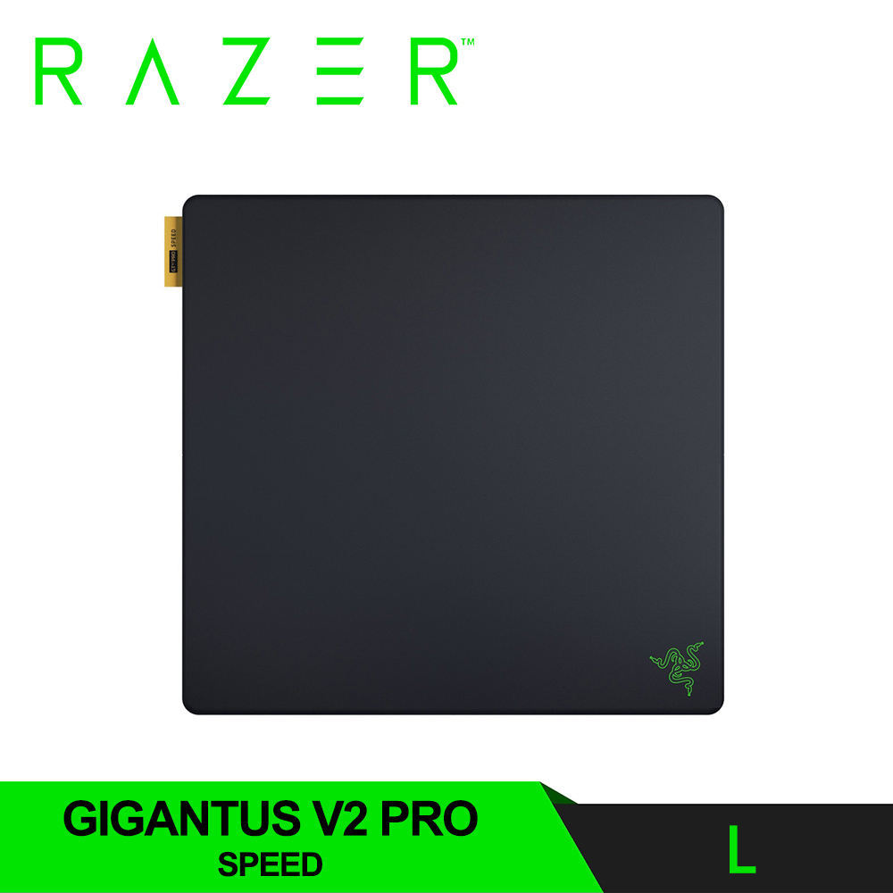 【Razer 雷蛇】Gigantus V2 Pro Speed 巨甲蟲 滑鼠墊 L