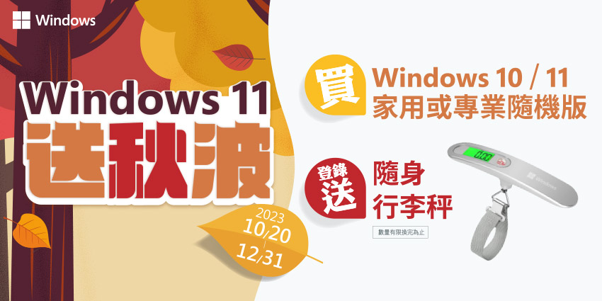 Windows 11